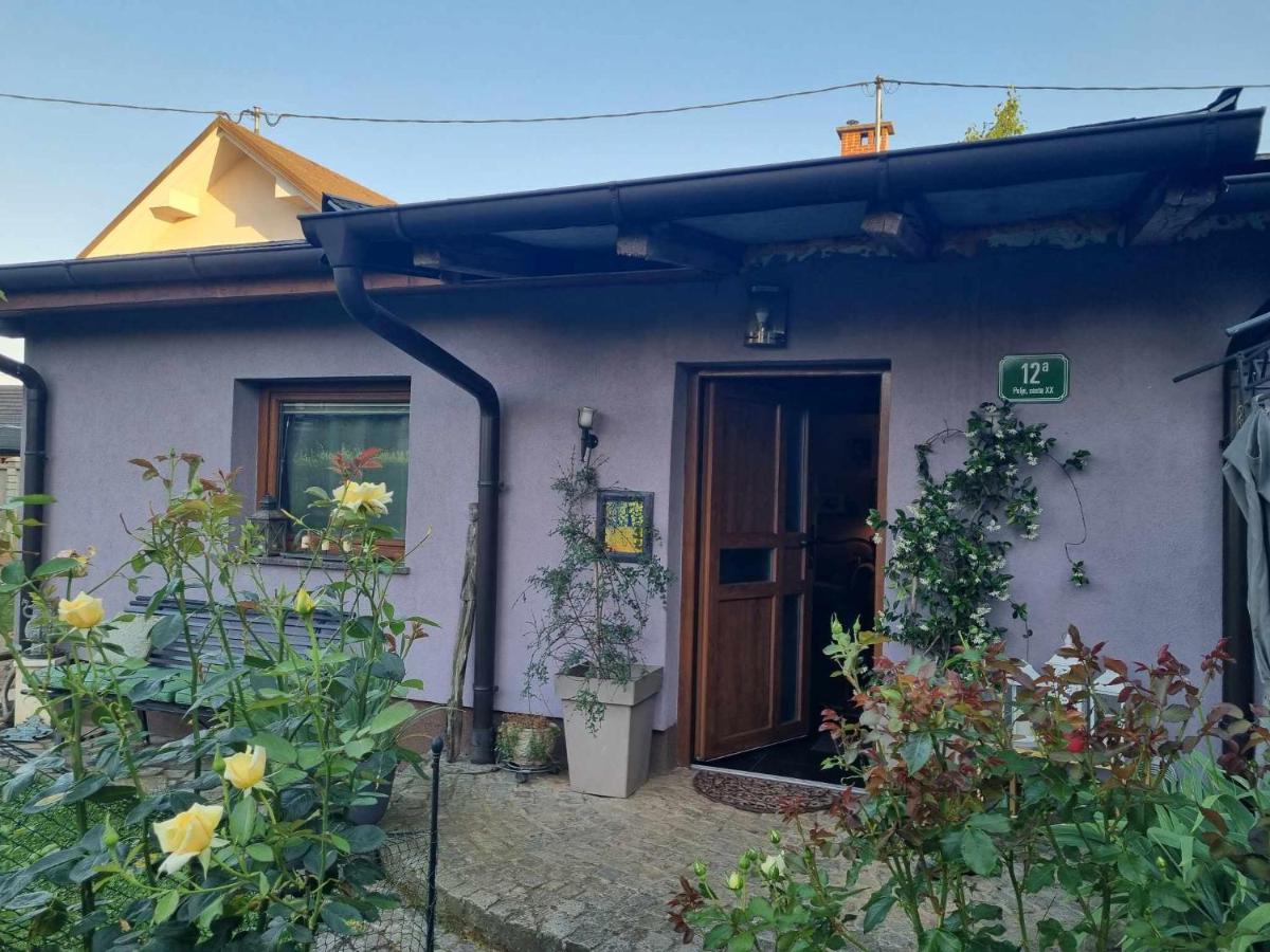 Art Room With Outdoor Living Homestay szállás