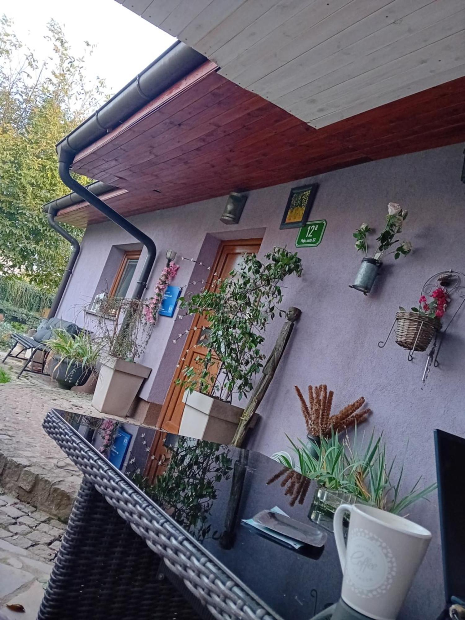 Art Room With Outdoor Living Homestay szállás *