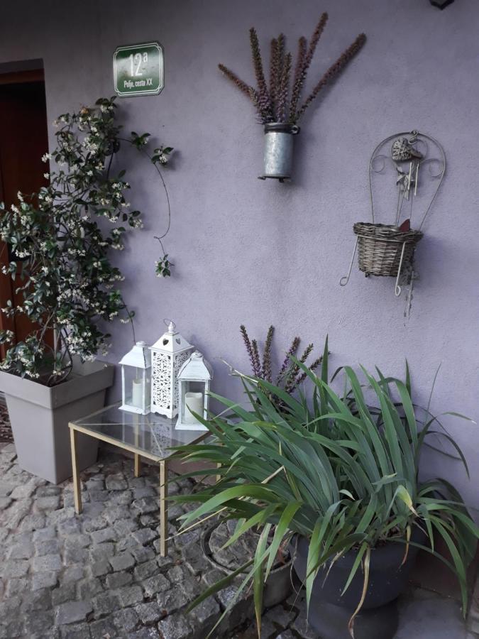 Ostanak kod kuće Art Room With Outdoor Living Ljubljana